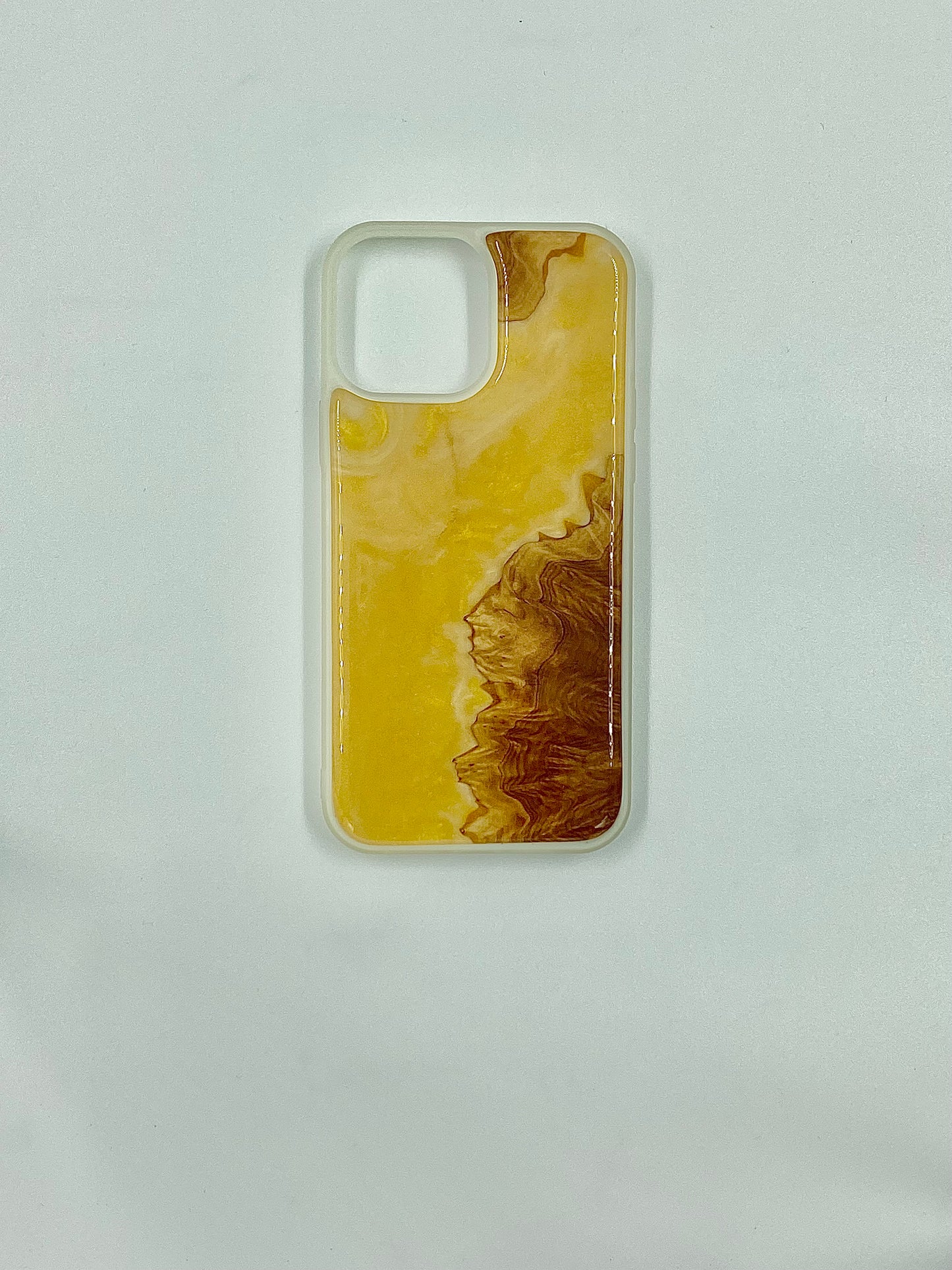 Coques iPhone (13 modèles)